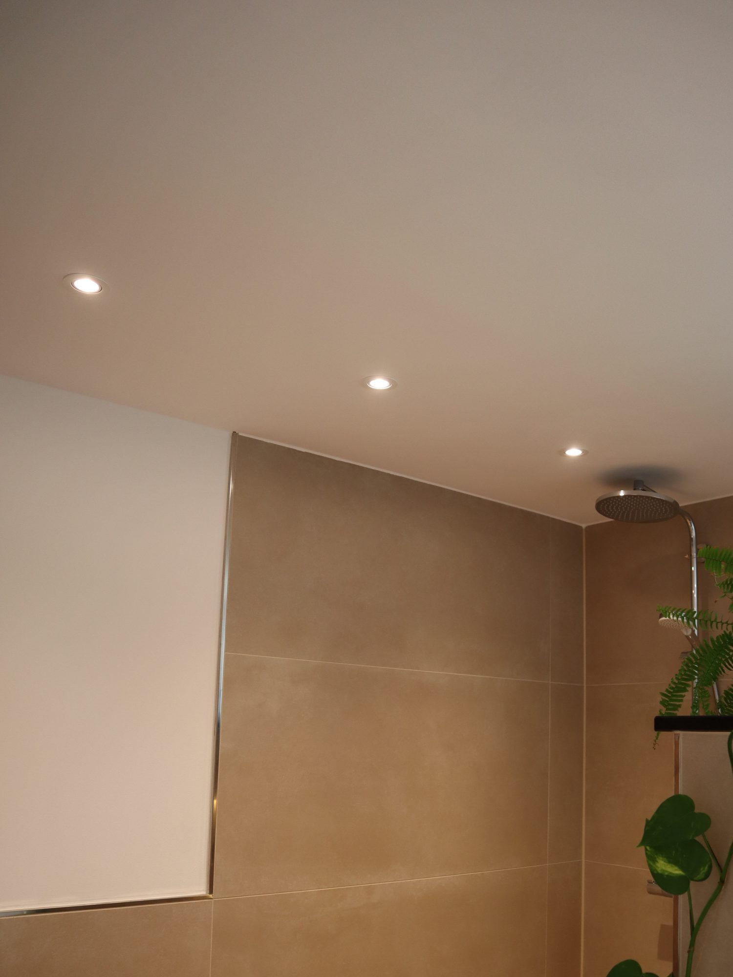 Moderne Badezimmer-Decken-Spots geplant und installiert  – stilvolle, effiziente Beleuchtung für ein elegantes Ambiente.