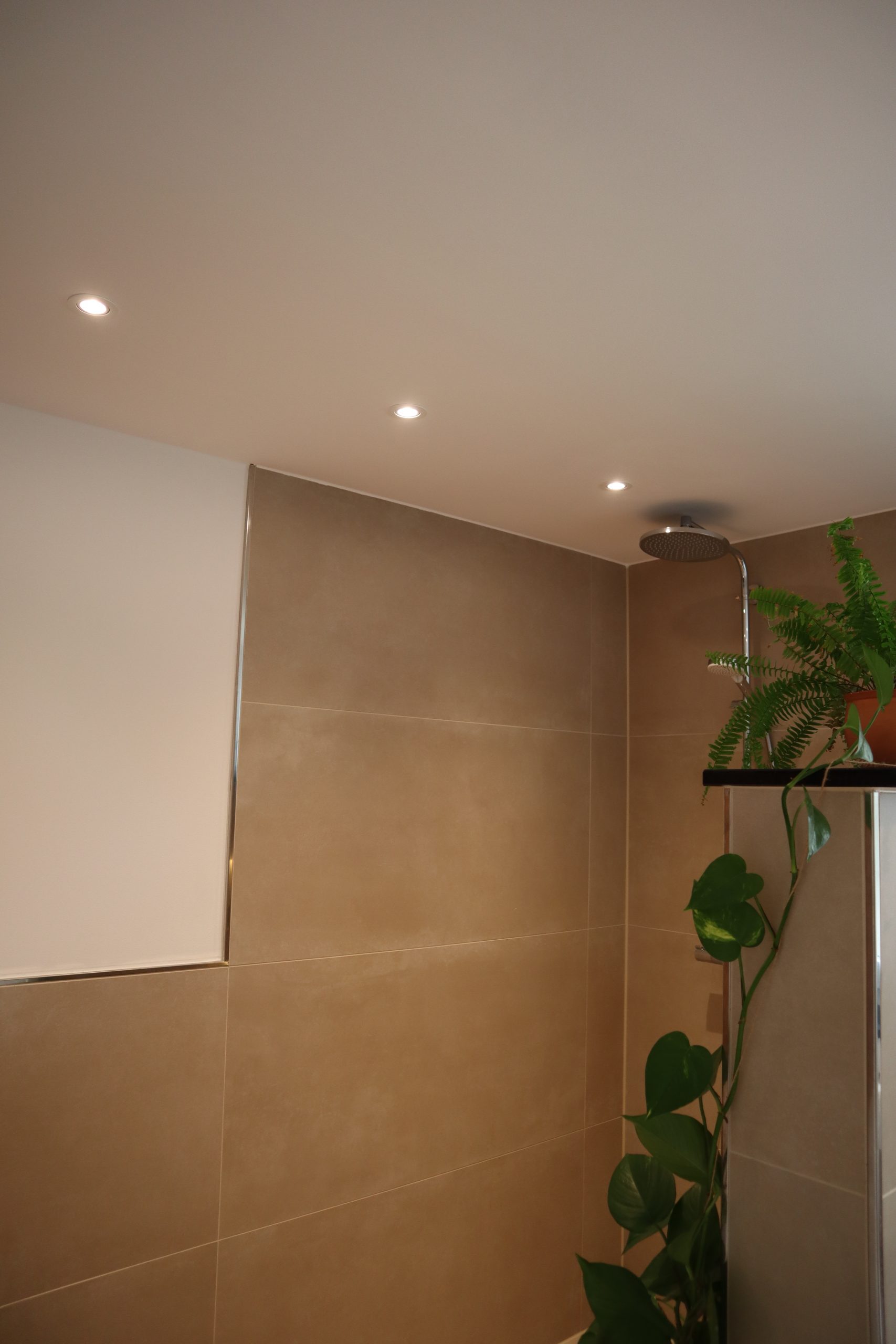 Moderne Badezimmer-Decken-Spots geplant und installiert  – stilvolle, effiziente Beleuchtung für ein elegantes Ambiente.